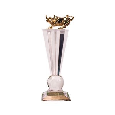 award-10